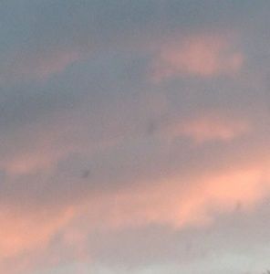 Meet your Posher, Kamryn